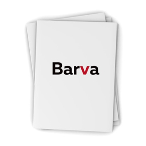 Фотобумага глянцевая двухсторонняя 230 г/м2, 10x15 см, 100 л. Everyday Barva